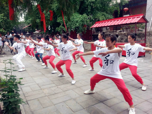 张家振带领武艺班藏族学生表演九太极