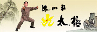 Nine-posture T’ai Chi