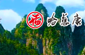奔赴海南，投身哈慈康旅，搭上人生逆袭的复兴号